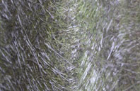 Bleadon fibreglass roof work